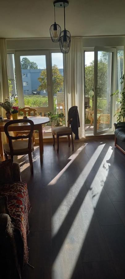 Gruene Stadtwohnung Saarbrücken Dış mekan fotoğraf
