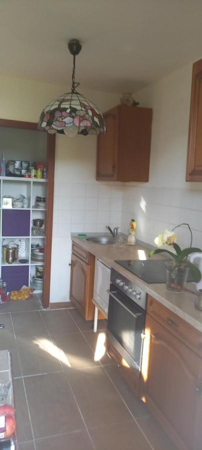 Gruene Stadtwohnung Saarbrücken Dış mekan fotoğraf