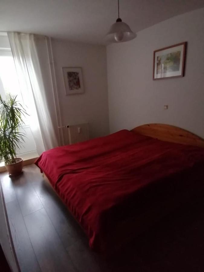 Gruene Stadtwohnung Saarbrücken Dış mekan fotoğraf